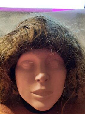 NEW  ! Long 21 Inch Hair Curly Wavy Wig Dark Blonde